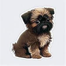 Brussels Griffon Puppies